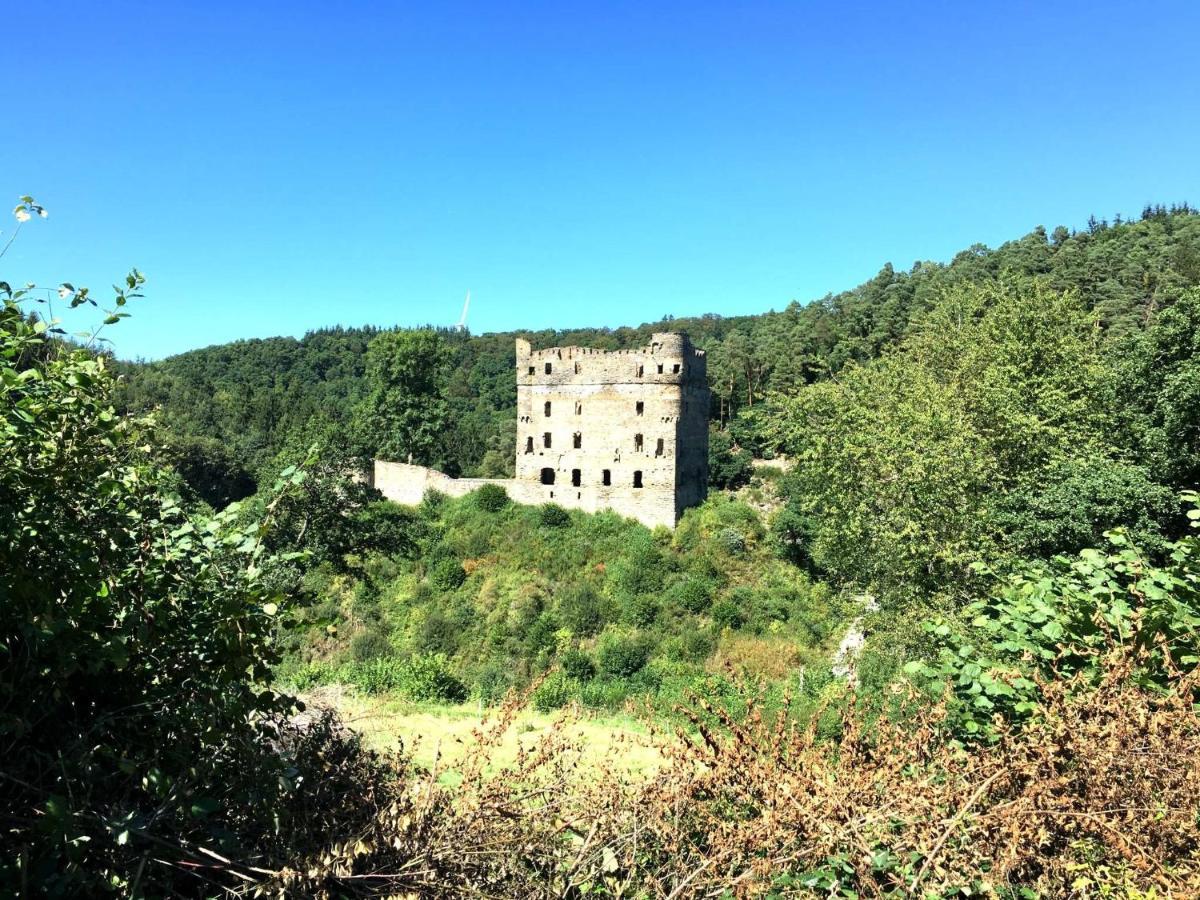 Ferienhaus Am Moselradweg Целль-ан-дер-Мозель Екстер'єр фото